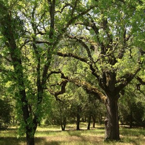 522019_10151556949941880_154167928_n