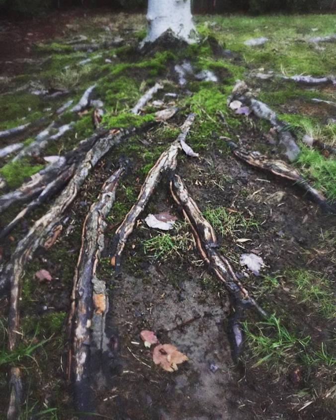 12573069_10153885479111880_4828230002851275178_n